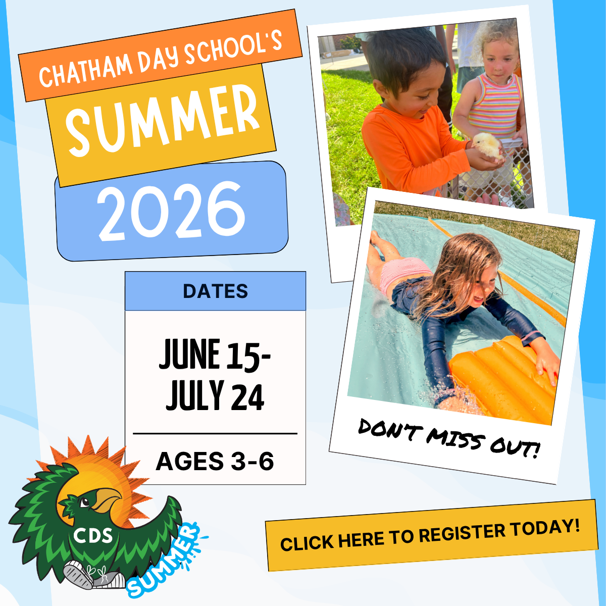 Summer camp, petting zoo, water play